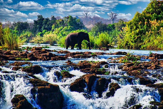 Unique Safari Game Drives in Zambezi National Park, 4 Options - Key points at a glance