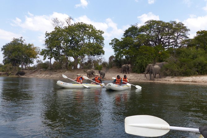 Upper Zambezi Canoeing - Key points to know before booking