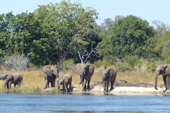 Upper Zambezi Canoeing - Breakfast beside the launch site