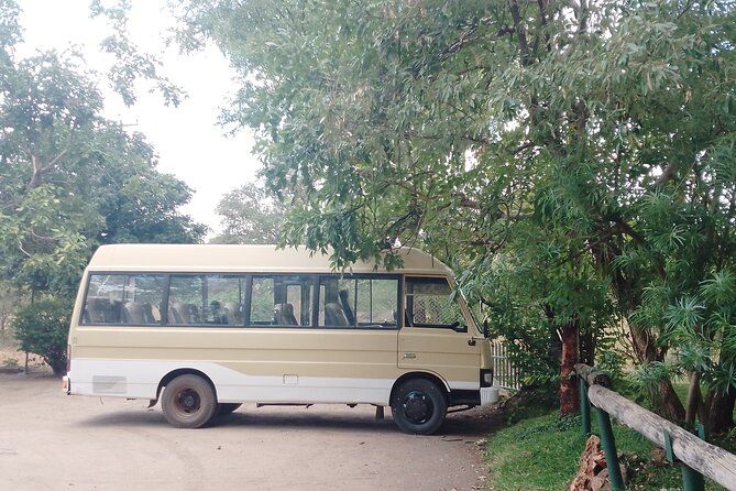 VFA Victoria Falls Airport One Way Transfers - Timing, delayed luggage, and long immigration lines