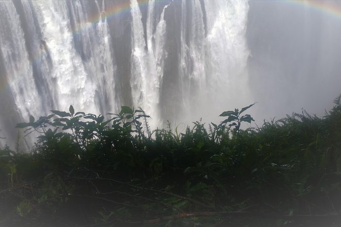 Victoria Falls And Chobe - Day 1: A gentle start on the Zambezi