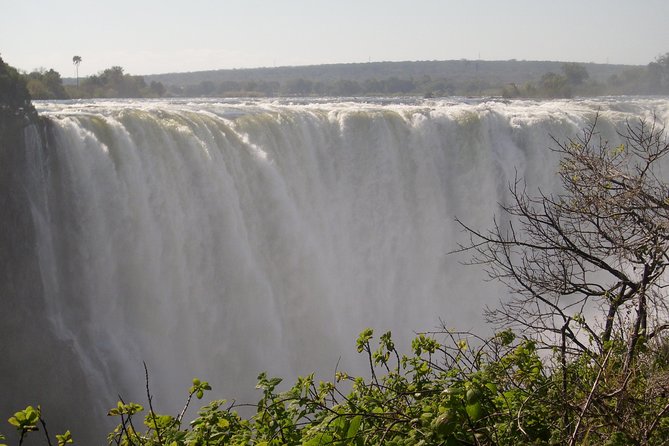 Victoria Falls And Chobe - Day 3: A full safari day in Chobe National Park
