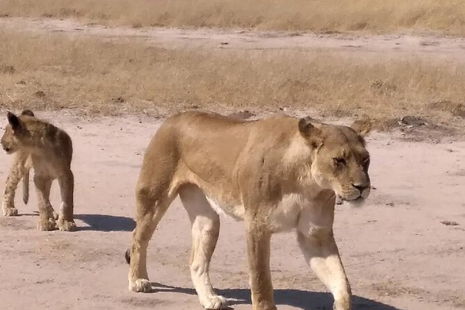 Victoria Falls And Chobe - Is $790 good value?