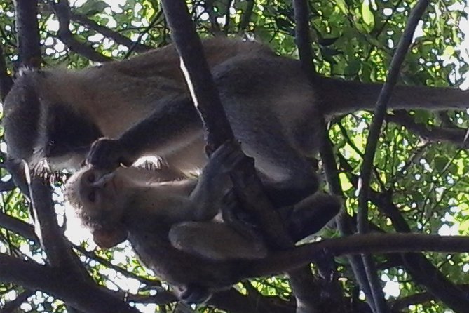 Victoria Falls And Chobe - Day 2: Three hours at Victoria Falls