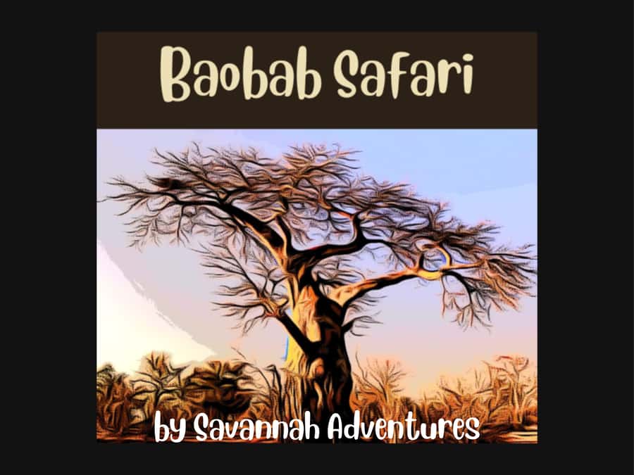 Victoria Falls: Baobab Safari - Sunrise and Mid Morning - A short safari with more than one setting