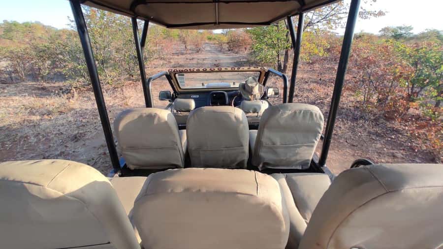 Victoria Falls: Baobab Safari - Sunrise and Mid Morning - Guide quality and the human side of the outing