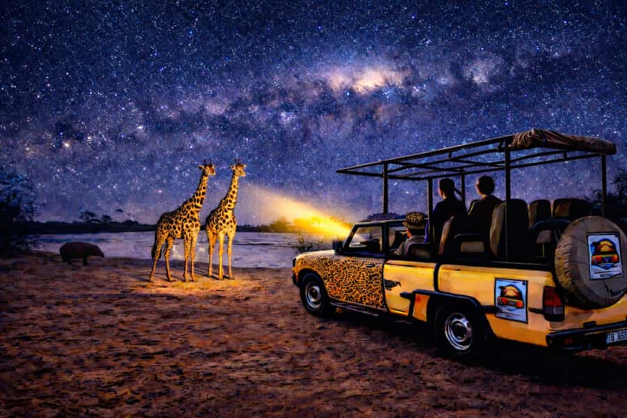 Victoria Falls: Bush Experience and Stargazing D-F-ES-GB - Why nighttime changes Victoria Falls National Park
