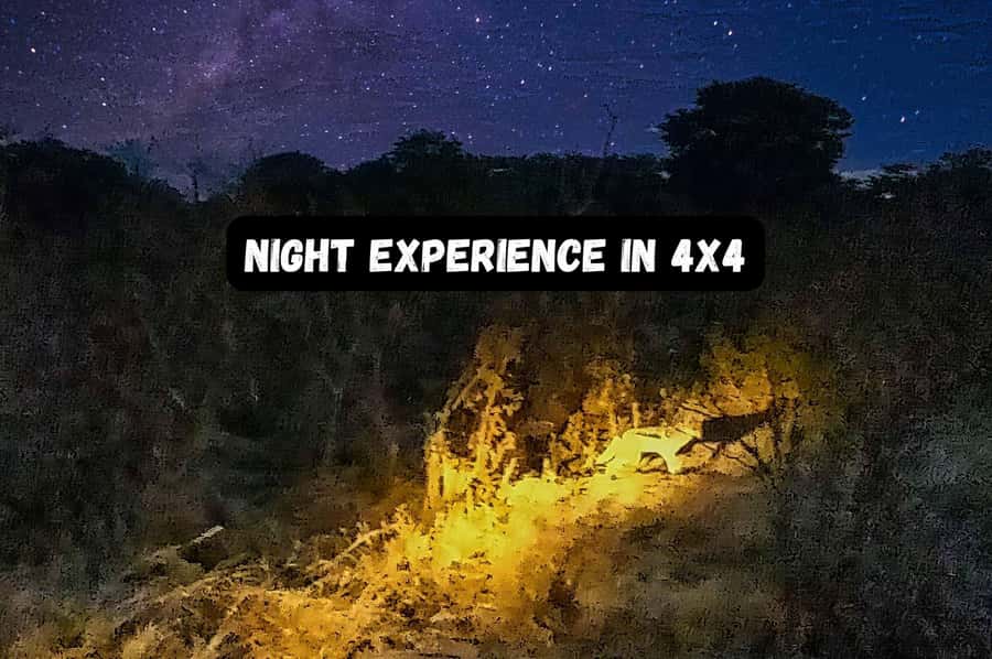 Victoria Falls: Bush Experience and Stargazing D-F-ES-GB - Pickup in Victoria Falls and the short ride out