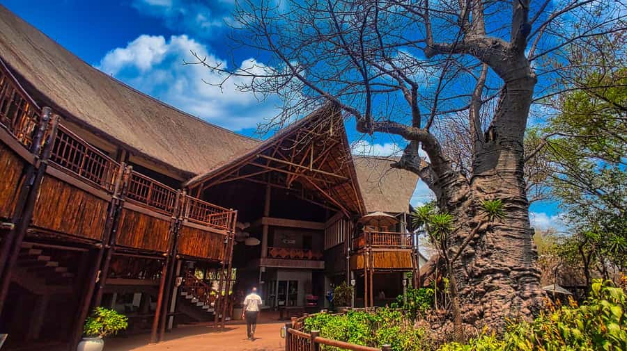 Victoria Falls: Chobe and Quadripoint Day Trip with Lunch - Reaching the Quadripoint by boat or on foot
