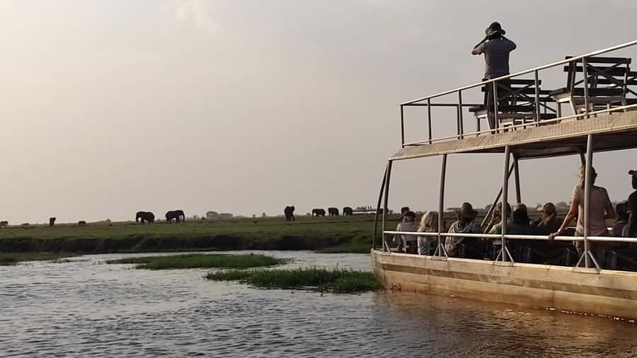 Victoria Falls: Chobe and Quadripoint Day Trip with Lunch - What the $215 price really covers