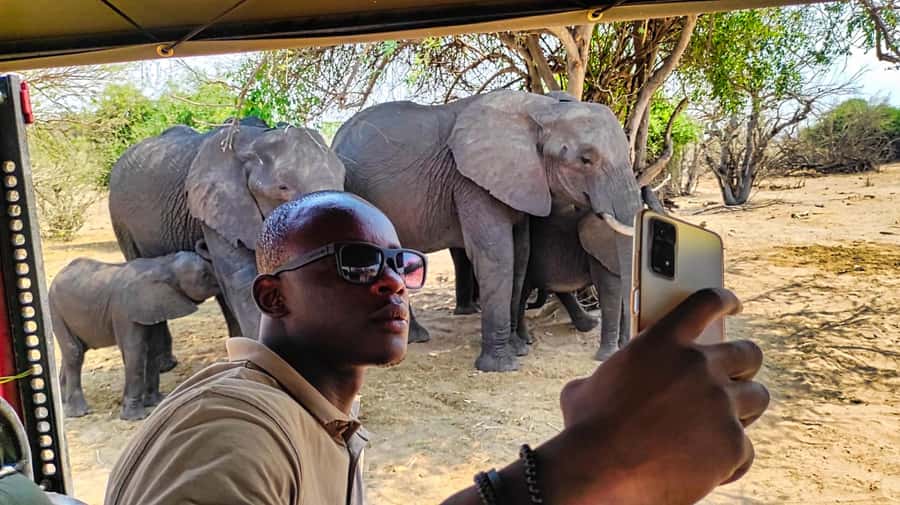Victoria Falls: Chobe and Quadripoint Day Trip with Lunch - Should you book the Victoria Falls to Chobe day trip?