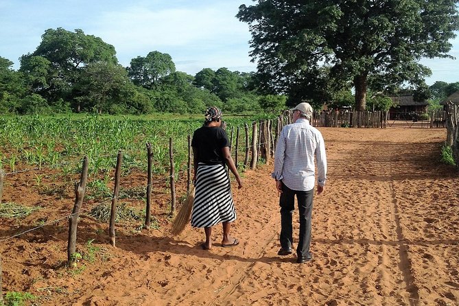Victoria Falls Cultural Private Village Tour - A market and township visit with limited detail