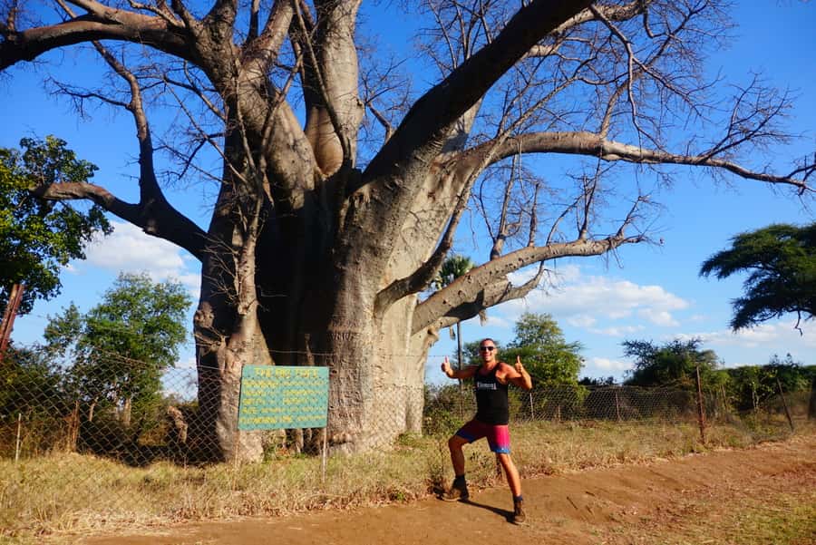 Victoria Falls: Cultural Tour with High Tea - High tea at Zimbabwe’s oldest hotel