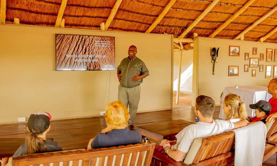 Victoria Falls: Elecrew Through The Eyes Of An Elephant - Why elephants matter around Victoria Falls