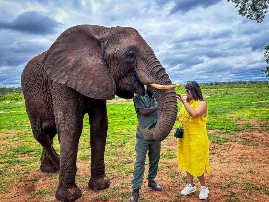 Victoria Falls: Elecrew Through The Eyes Of An Elephant - Arriving at Jafuta Lodge