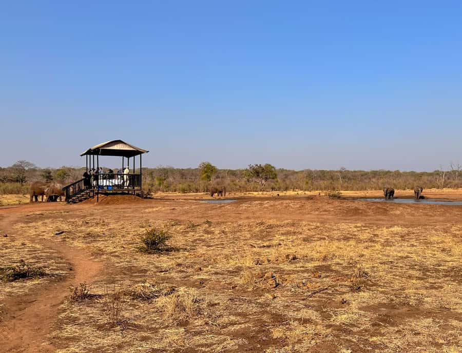 Victoria Falls: Elecrew Through The Eyes Of An Elephant - Conservation beyond the elephant enclosure