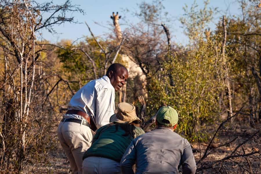 Victoria Falls: Game Walk in the Zambezi National Park - Six things to know before you go