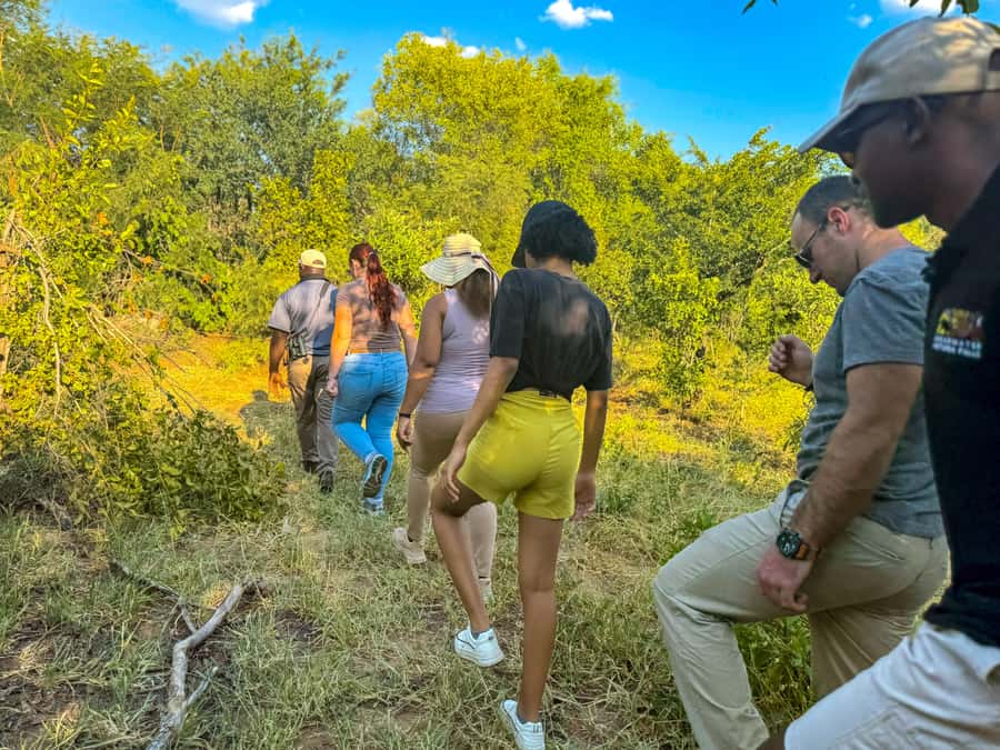 Victoria Falls: Game Walk in the Zambezi National Park - Elephants, buffalo, antelope, and smaller discoveries