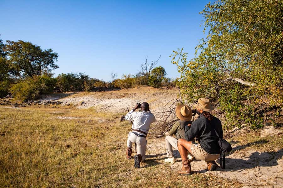 Victoria Falls: Game Walk in the Zambezi National Park - How the $132 price compares in practical value