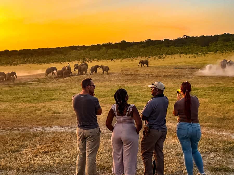 Victoria Falls: Game Walk in the Zambezi National Park - Who should book this walking safari