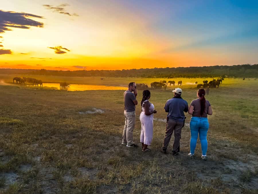 Victoria Falls: Game Walk in the Zambezi National Park - My verdict: choose the walk for the way it feels