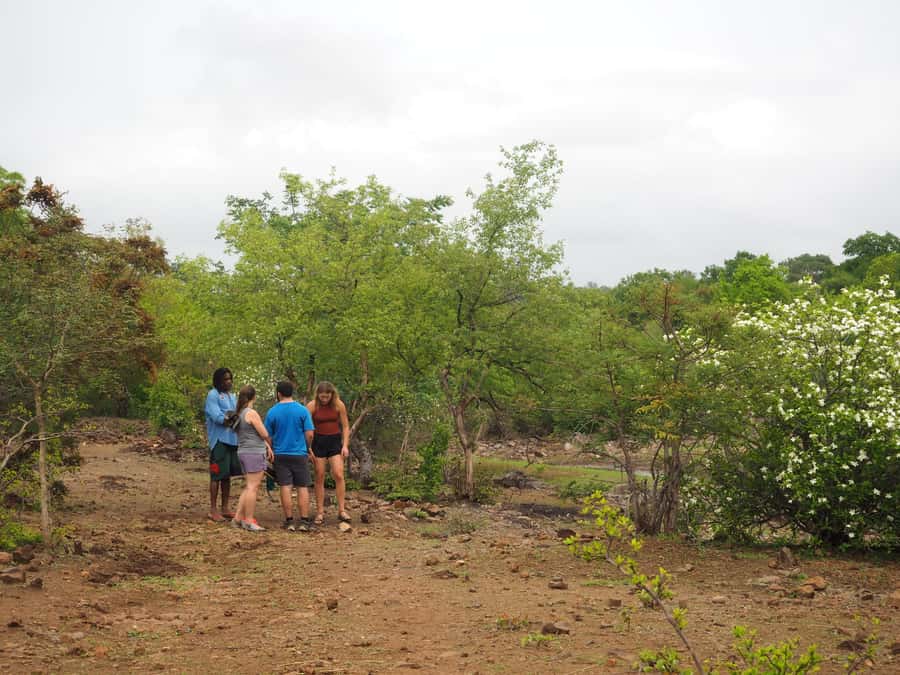 Victoria Falls Gorge Hike & Farm to Table Village Lunch - What $120 buys you in practical terms