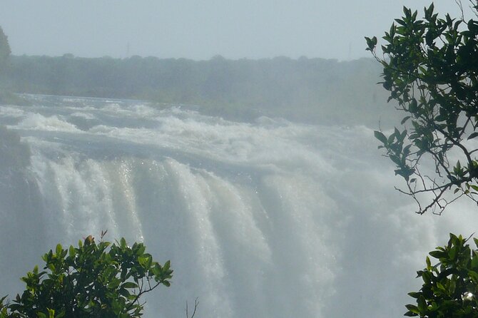 Victoria Falls Guided Tour - The rainforest, mist, and wildlife
