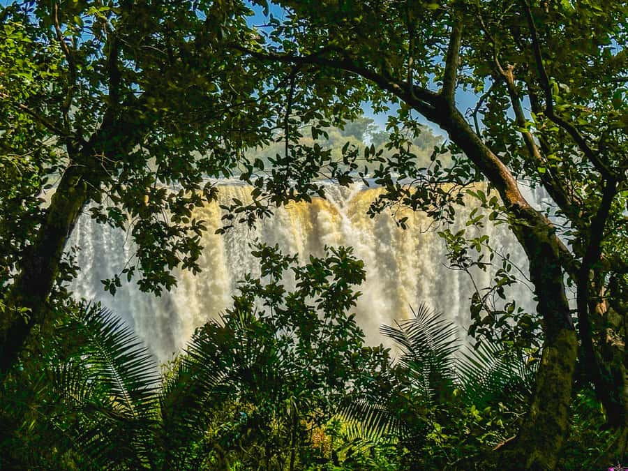 Victoria Falls: Guided Tour of the Victoria Falls - Pickup in Victoria Falls and the short ride to the park