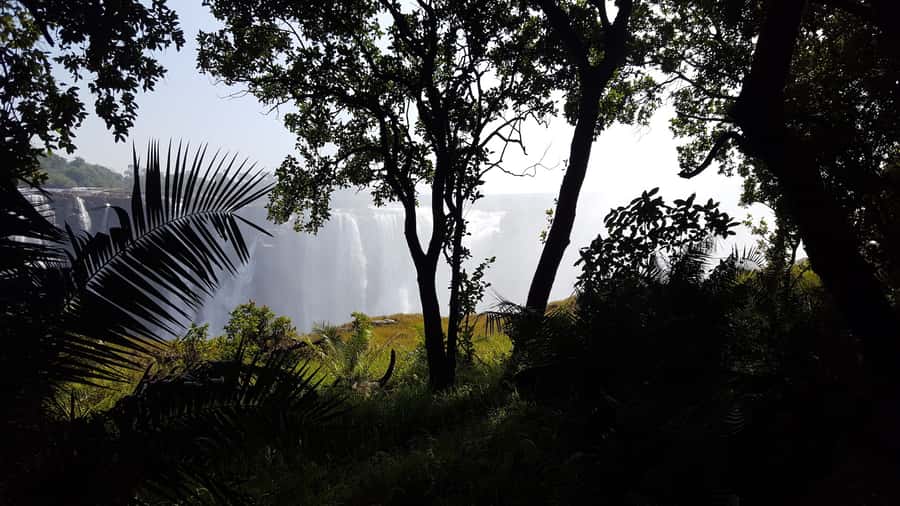 Victoria Falls: Guided Walking Tour - Key points at a glance