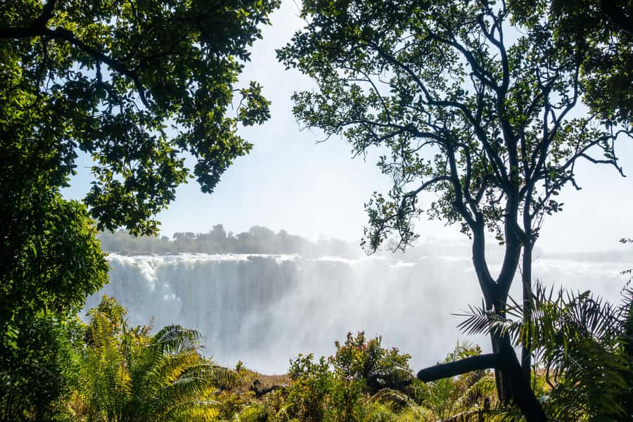 Victoria Falls Helicopter Tour - Who should book this flight?