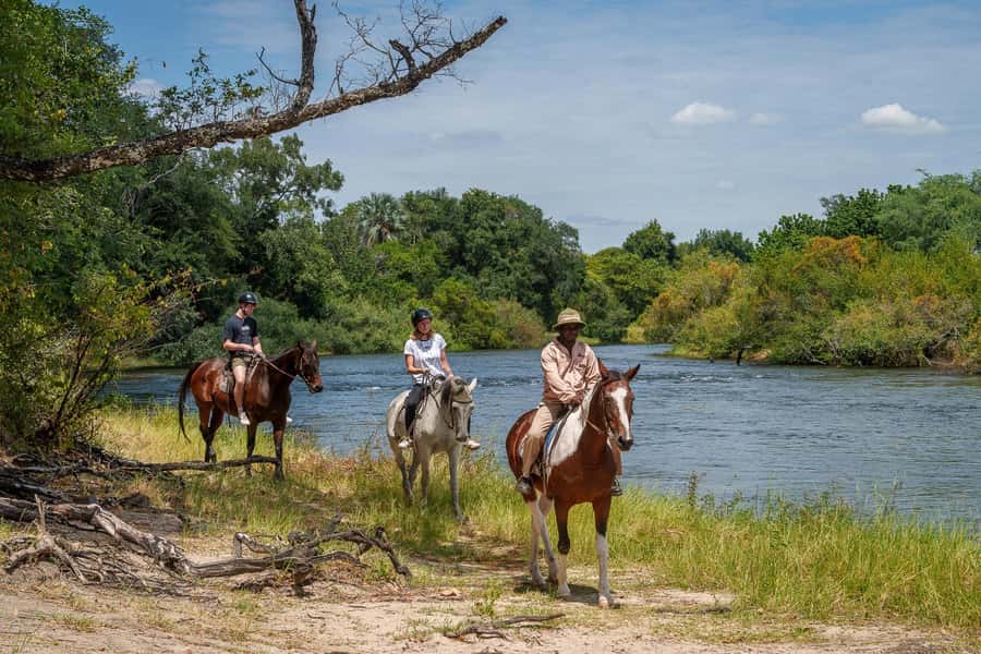 Victoria Falls National Park: Horseback Safari - Key points at a glance