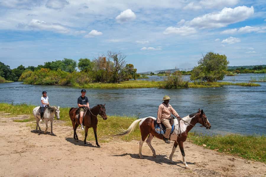 Victoria Falls National Park: Horseback Safari - Who should book this horseback safari