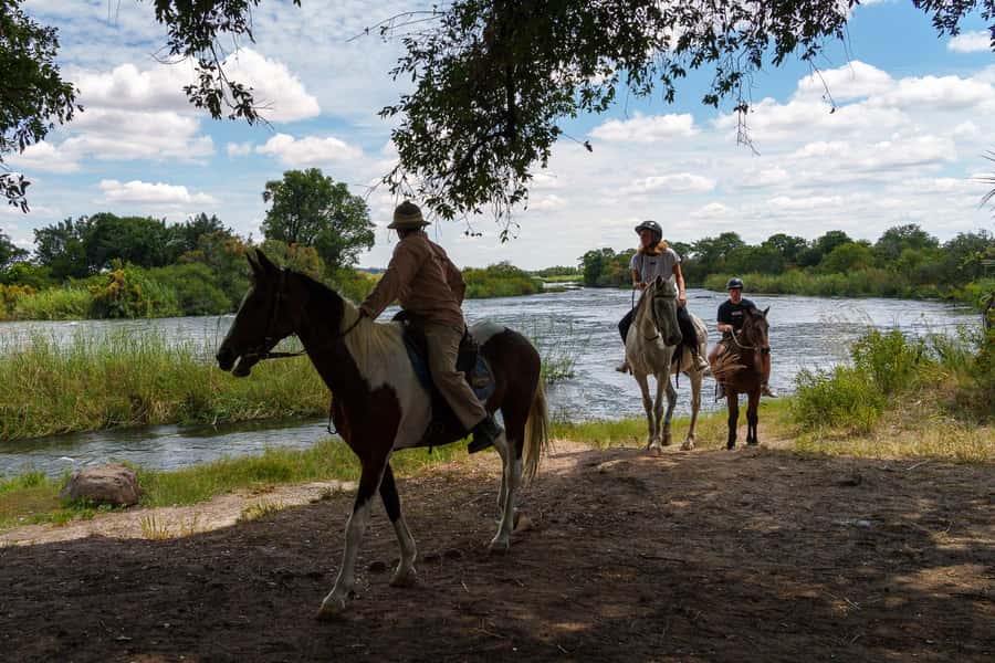 Victoria Falls National Park: Horseback Safari - Four hours with trained horses and guides