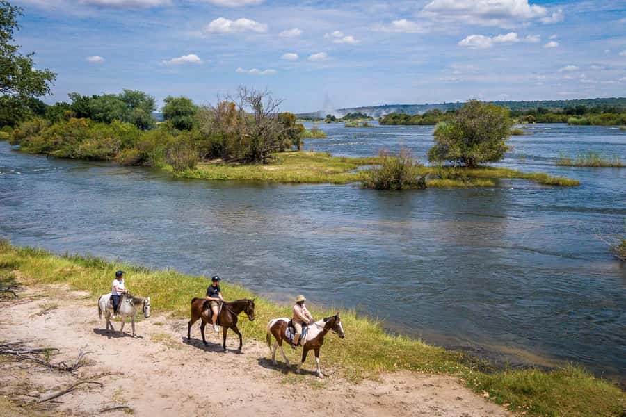 Victoria Falls National Park: Horseback Safari - Watching elephant, buffalo, and rhinoceros