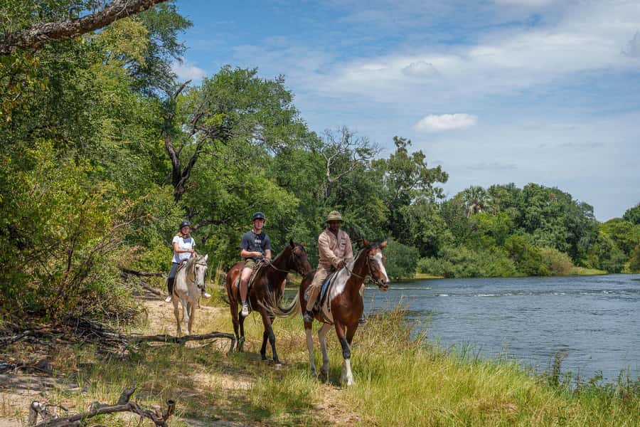 Victoria Falls National Park: Horseback Safari - What the ride may feel like for different riders