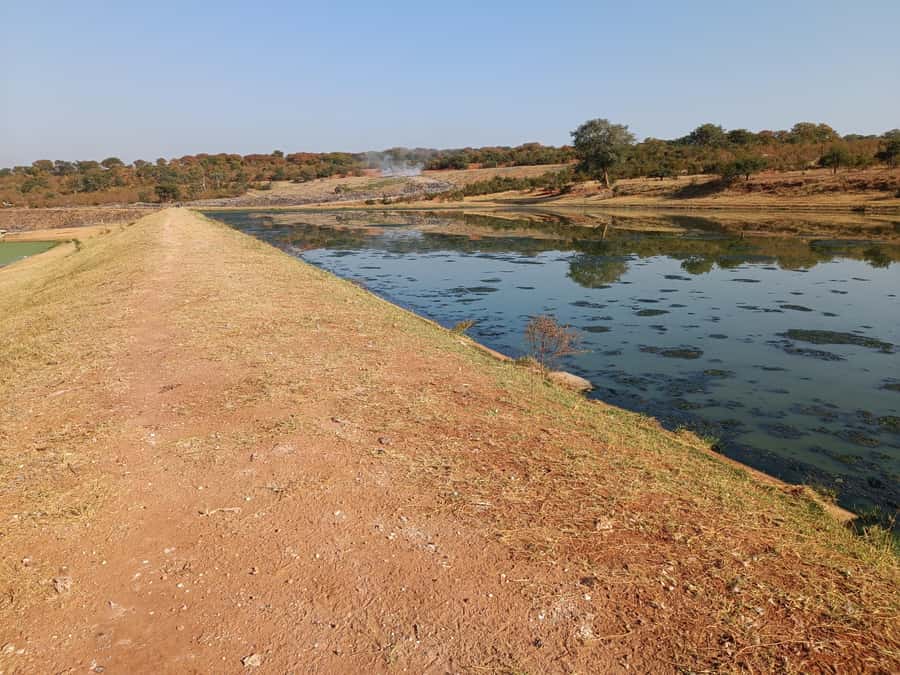Victoria Falls: Private Birdwatching Safari near the town - Key points to know before you go