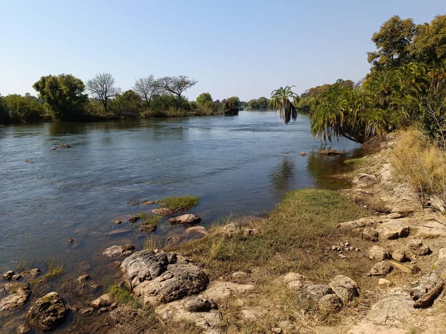 Victoria Falls: Private Birdwatching Safari near the town - Following the Zambezi river shore