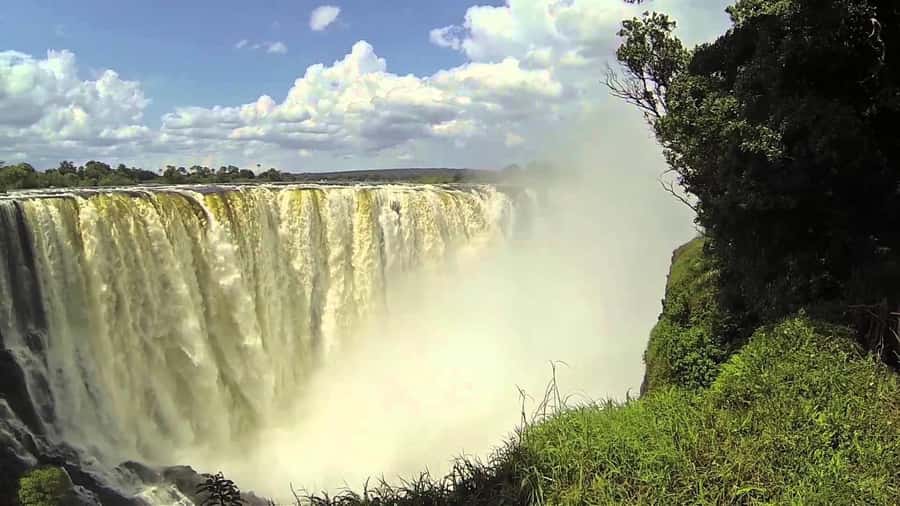 Victoria Falls: Private Guided Tour of the Falls - The rainforest walk and small wildlife sightings
