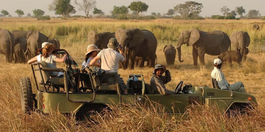 Victoria Falls Safari with Lunch and Sunset Cruise - Key points to know before booking