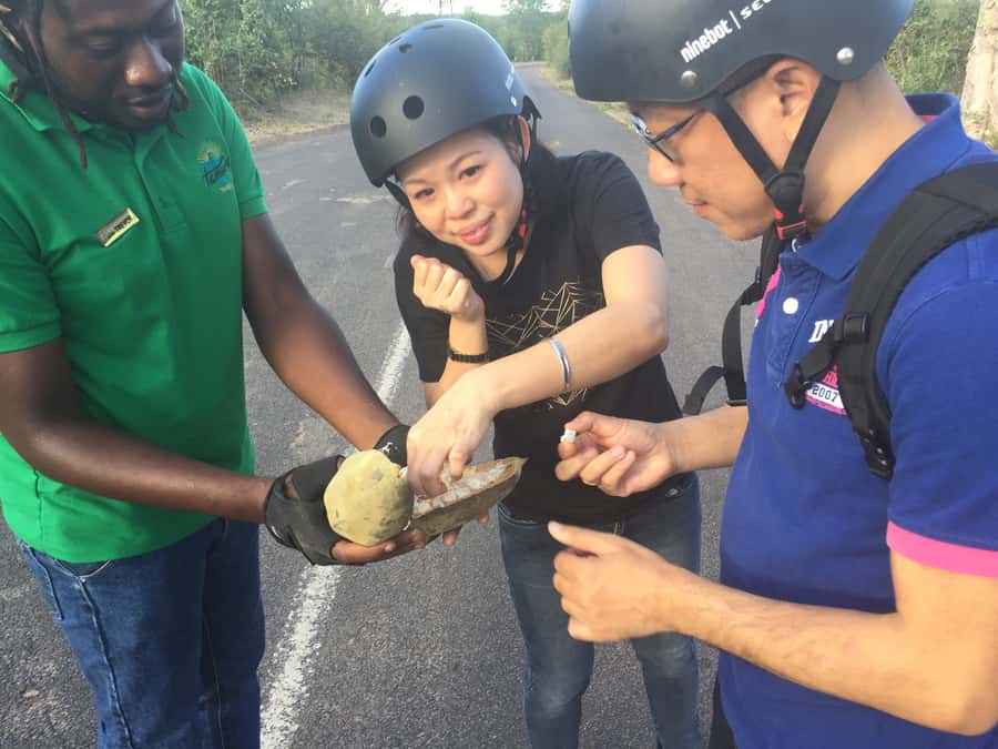 Victoria Falls Segway Tour - Key points at a glance