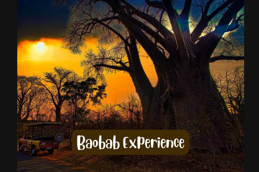 Victoria Falls: Vulture Safari and Bush Walk - Gorge views and the Zambezi below