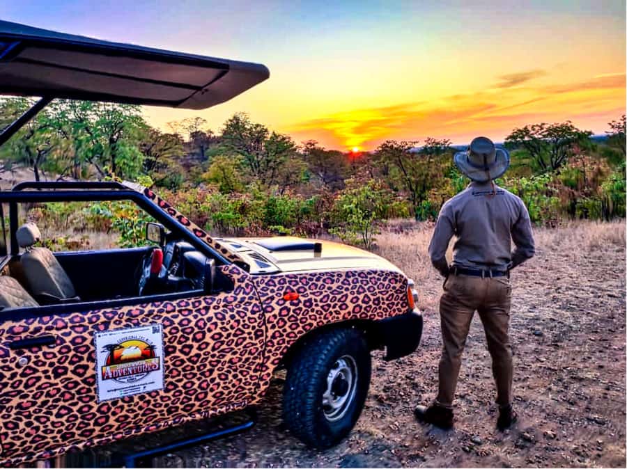 Victoria Falls: Vulture Safari and Bush Walk - Who will enjoy this most?