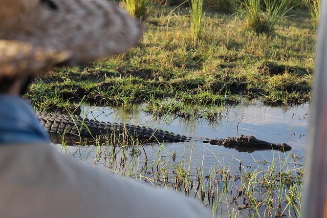 Victoria Falls: Whitewater Rafting + Chobe Safari Combo - Day two: Chobe by road, vehicle, and river