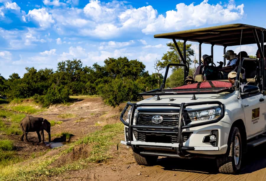 Victoria Falls: Zambezi National Park Game Drive - Two hours and twenty minutes among the animals