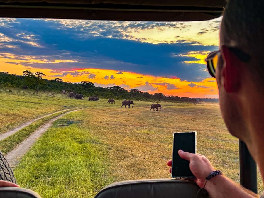 Victoria Falls: Zambezi National Park Game Drive - Who should book this Victoria Falls safari?