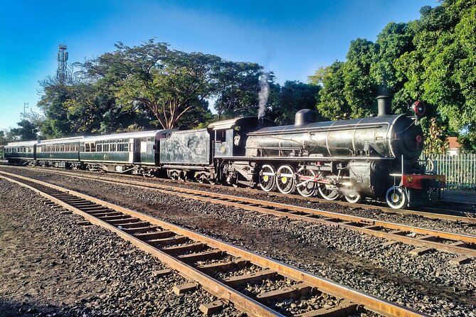 Walking Safari of Victoria Falls Town - Ten minutes into the bush