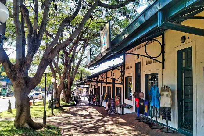 Walking Safari of Victoria Falls Town - Starting near Adam Stander Drive