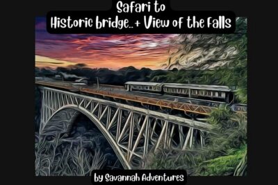 Walking Safari to the Falls, Bridge and beyond with Savannah