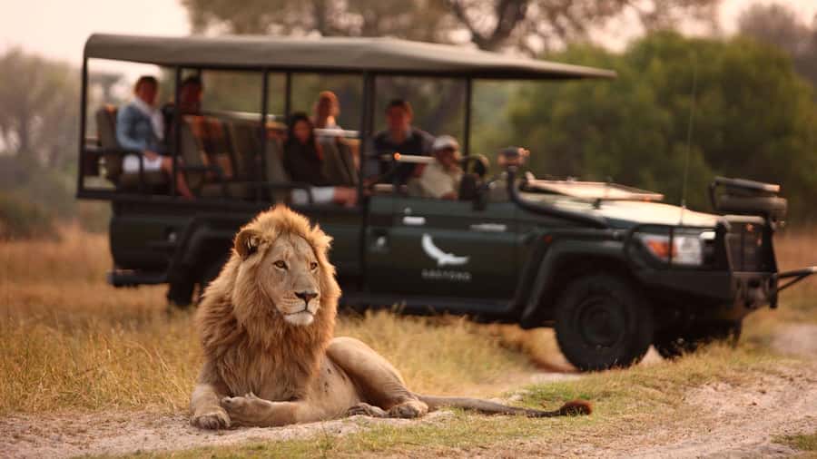 Zambezi 3hr Game Drive - Why the guide can make or break the drive
