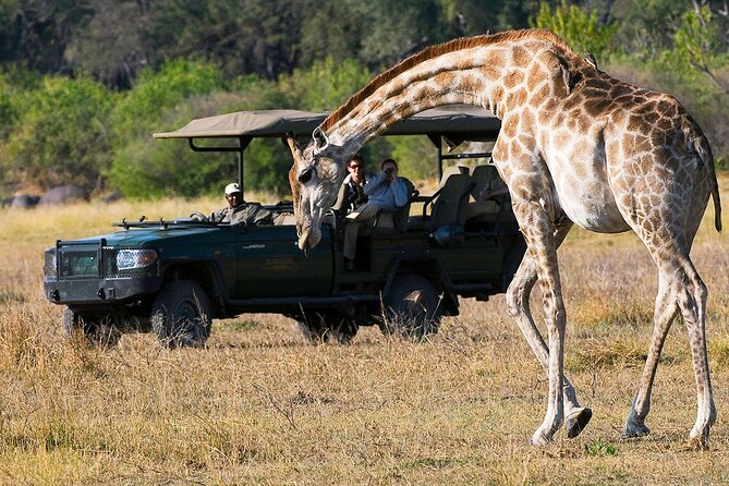 Zambezi National Park AM or PM Game Drive - Why this game drive fits so well in Victoria Falls